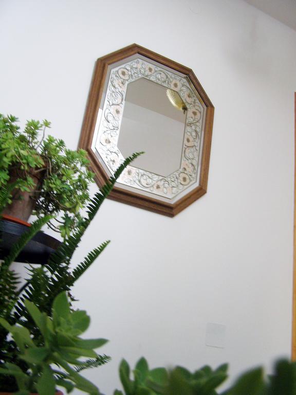 Palastura Apartments 울친 외부 사진